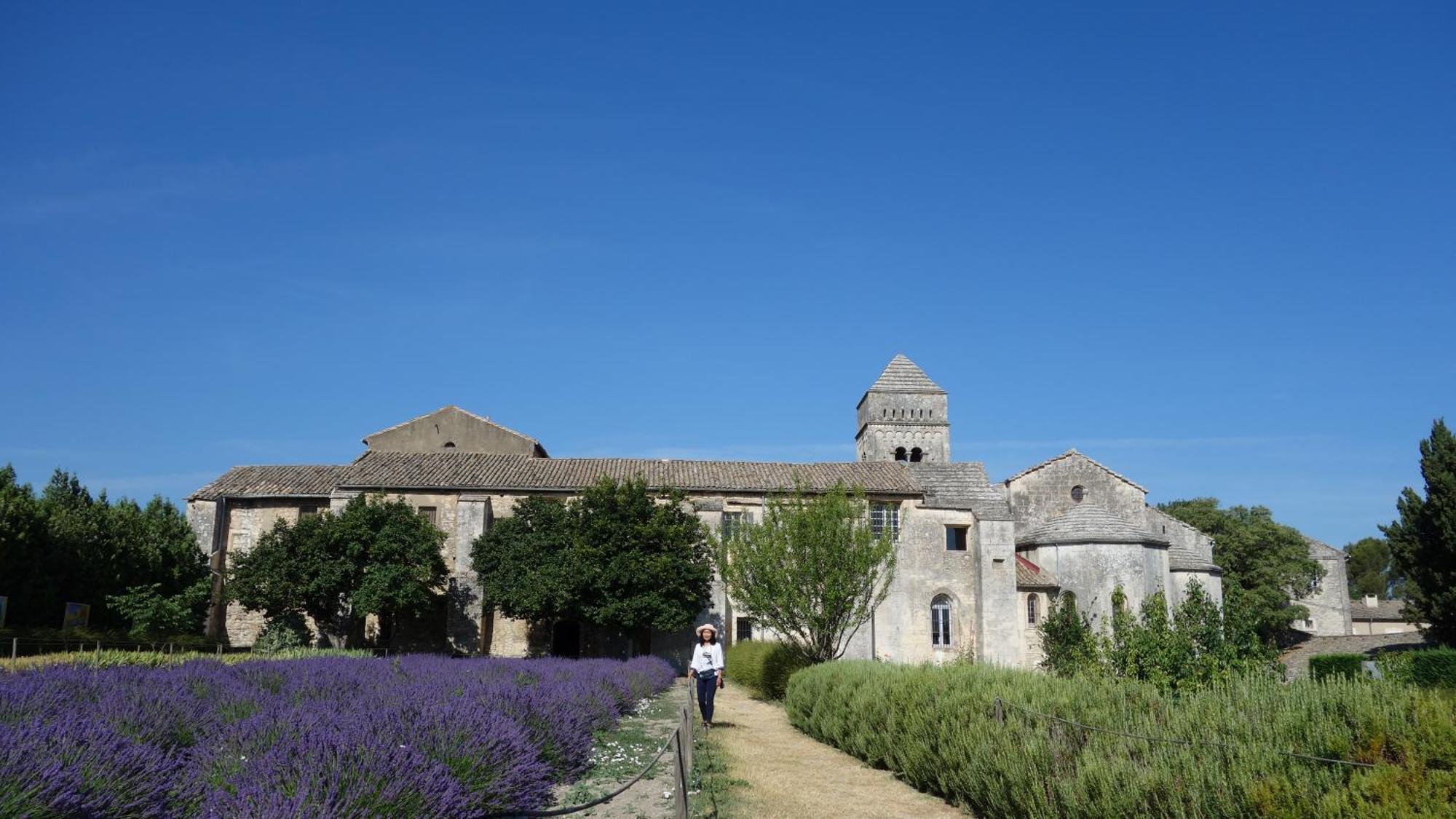 Les Lavandins-Gite Magali Saint-Rémy-de-Provence Εξωτερικό φωτογραφία