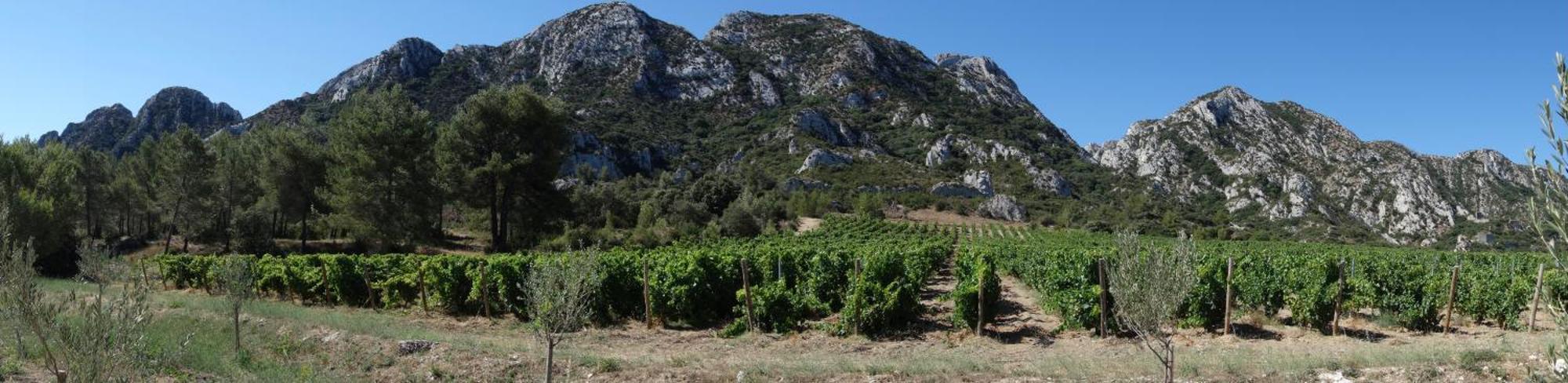 Les Lavandins-Gite Magali Saint-Rémy-de-Provence Εξωτερικό φωτογραφία
