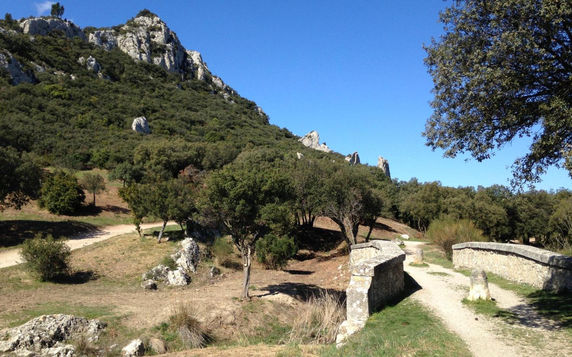 Les Lavandins-Gite Magali Saint-Rémy-de-Provence Εξωτερικό φωτογραφία