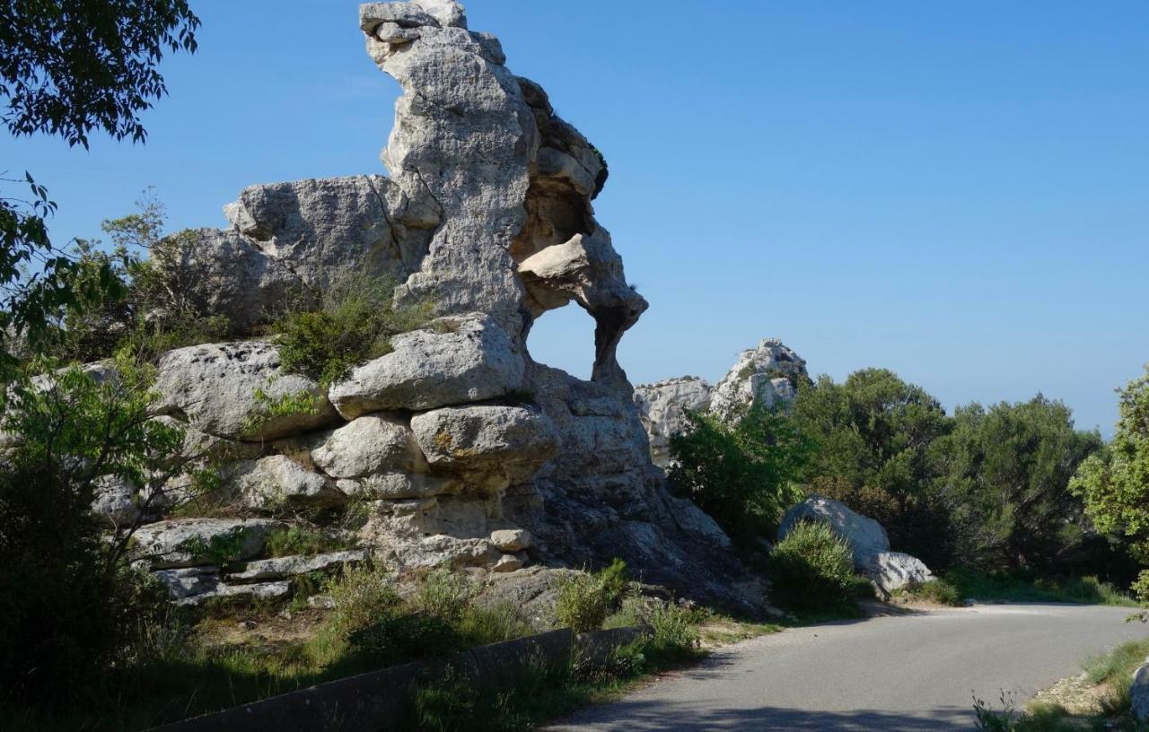 Les Lavandins-Gite Magali Saint-Rémy-de-Provence Εξωτερικό φωτογραφία