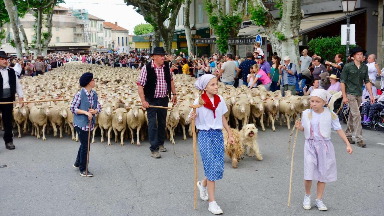 Les Lavandins-Gite Magali Saint-Rémy-de-Provence Εξωτερικό φωτογραφία