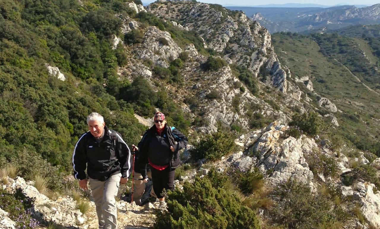 Les Lavandins-Gite Magali Saint-Rémy-de-Provence Εξωτερικό φωτογραφία